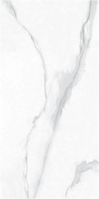 9141 Ramila White Sugar 60x120