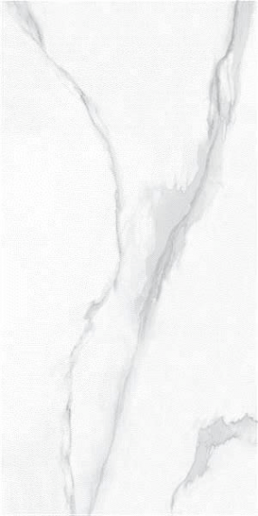 9141 Ramila White Sugar 60x120