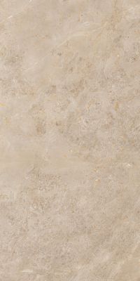 921 Керамогранит Luish Gold 120x60