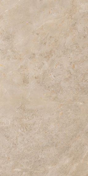 921 Керамогранит Luish Gold 120x60