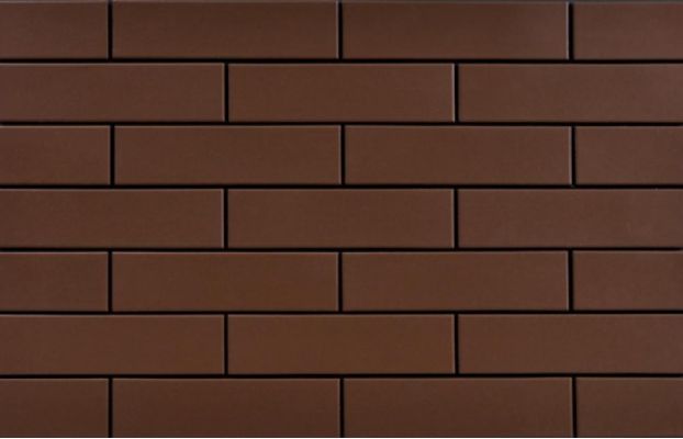 9683 Braz/Brown 24,5х6,5х0,65