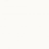 97062 ABSOLUTE WHITE RETTIFICATO 80X80