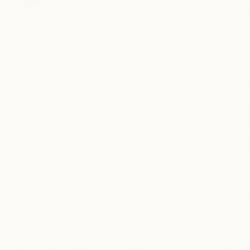 97062 ABSOLUTE WHITE RETTIFICATO 80X80