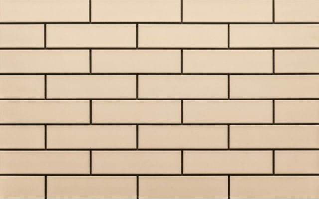 9720 Elewacja gladka krem 24,5х6,5х0,65