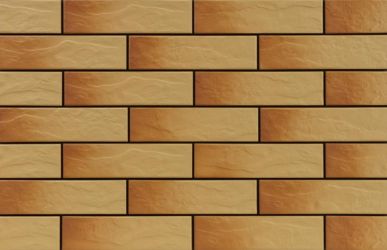 9768 Gobi elewacja rustiko 245x65x6,5