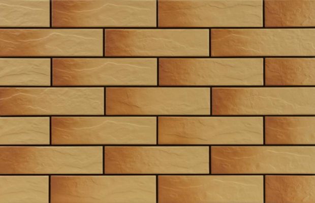 9768 Gobi elewacja rustiko 245x65x6,5