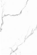 9KL 0005 TG Калакатта 27x40