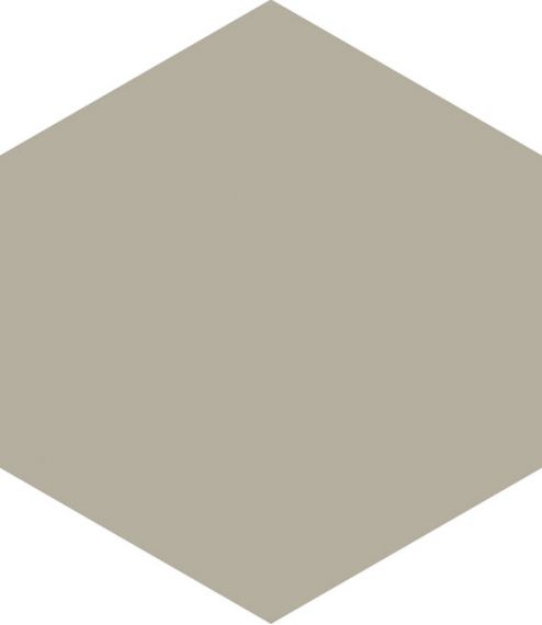 A021431 HEXAGON GREY 17.5X20.2