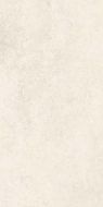 A025119 Mito Pearl 25x50