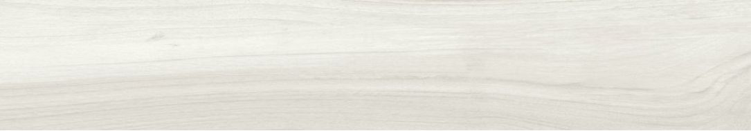 A026701 TIME WHITE RECT 20X114