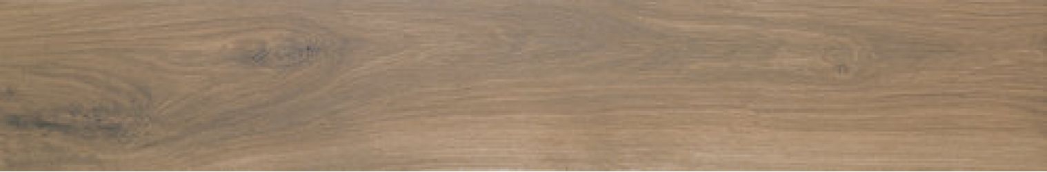 A026974 ROD. OREGON ROBLE 8X60