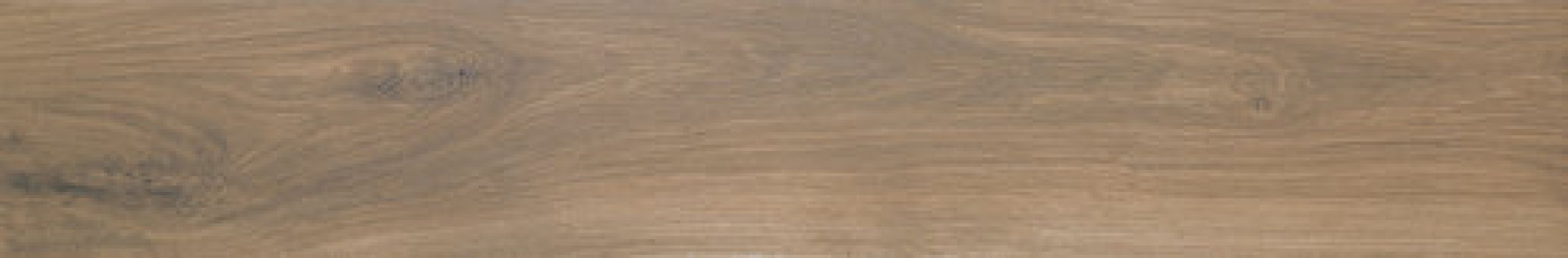 A026974 ROD. OREGON ROBLE 8X60