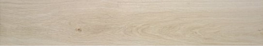 A034143 OREGON HAYA RECT 20x120 