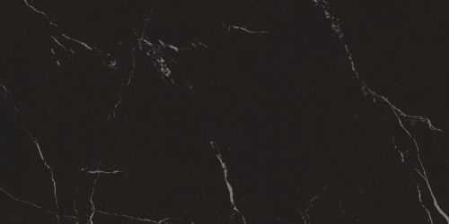 A035149 Nero Marquina 59*119