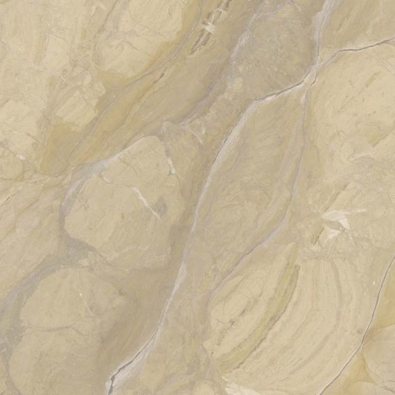 A036624 Rex Cream 60x60