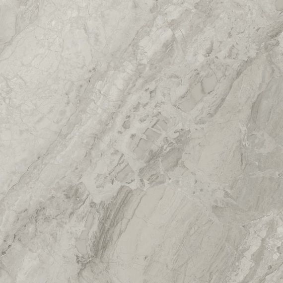 A036625 Rex Pearl 60x60