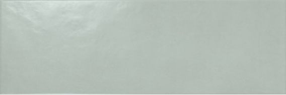 A036843 KLEN Palladium 25x75