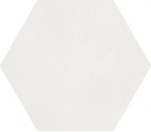 A037097 MACBA Coconut Milk 23x26