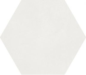 A037097 MACBA Coconut Milk 23x26