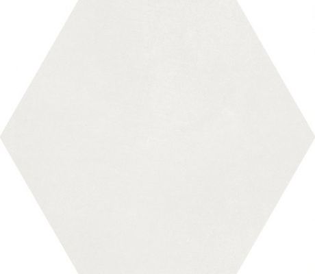 A037097 MACBA Coconut Milk 23x26