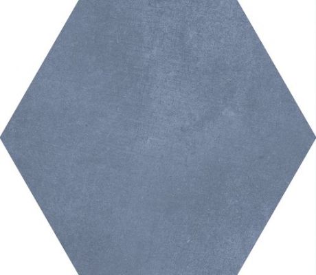 A037099 MACBA Blue 23x26