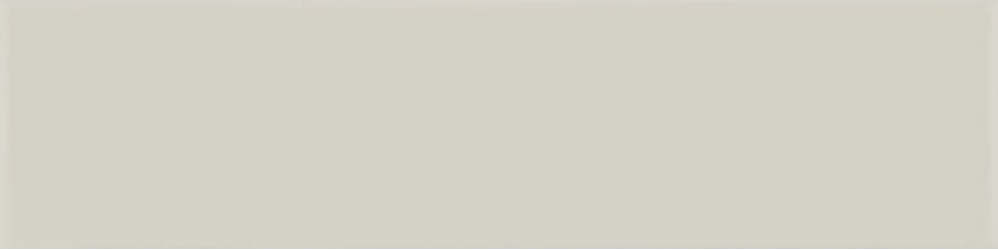 A037251 Flat Grey 5х20