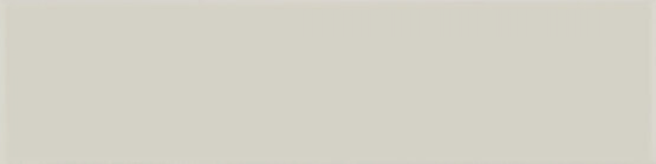 A037251 Flat Grey 5х20