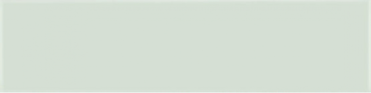 A037370 Flat Palladium 5х20