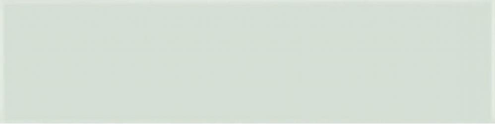 A037370 Flat Palladium 5х20