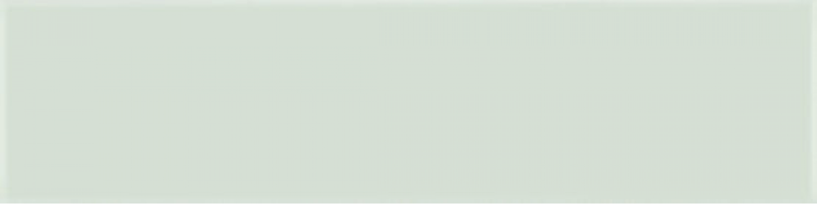 A037370 Flat Palladium 5х20