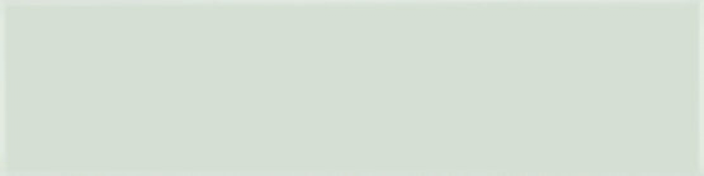 A037370 Flat Palladium 5х20