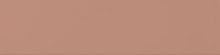 A037656 Flat Terracota 5х20