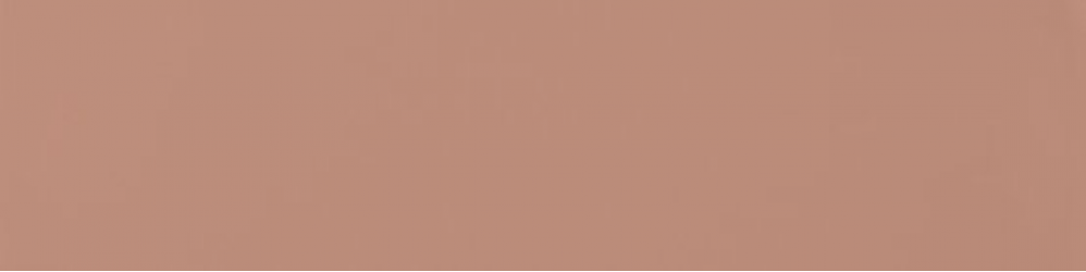 A037656 Flat Terracota 5х20