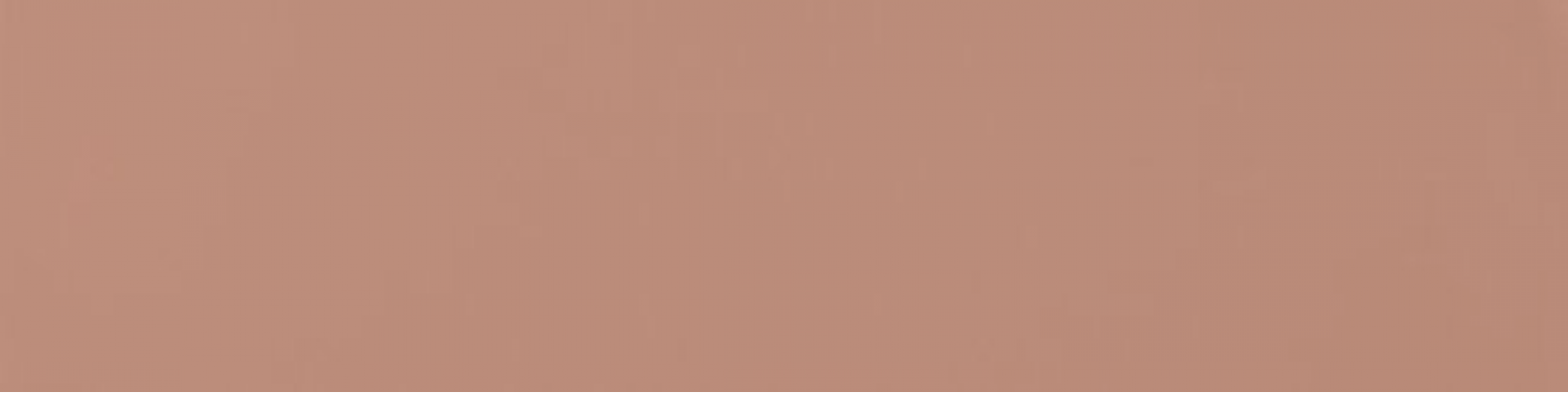 A037656 Flat Terracota 5х20