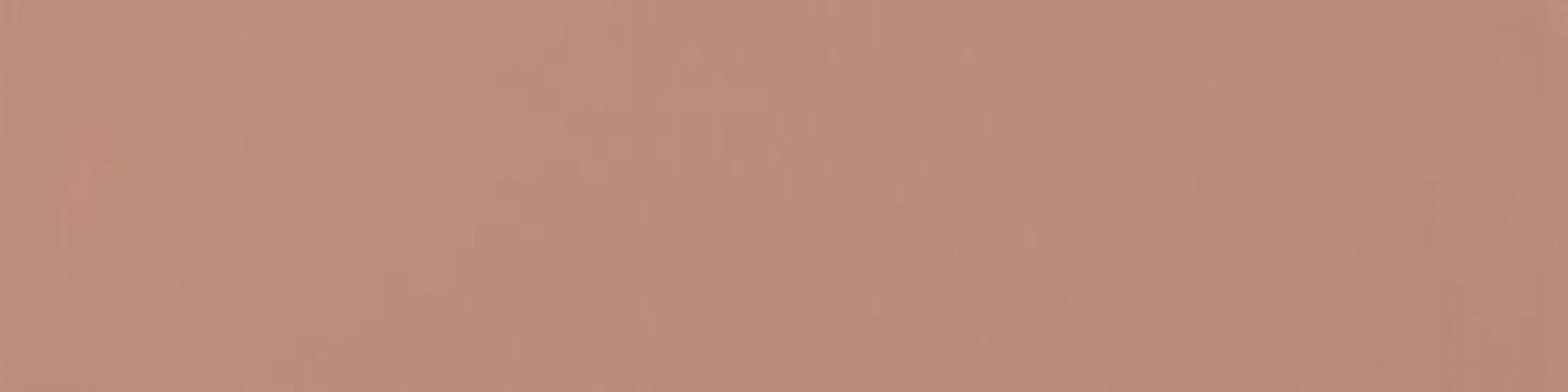 A037656 Flat Terracota 5х20