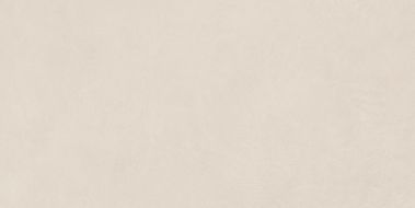 A037672 Argillae Neve Rect R10 60х120