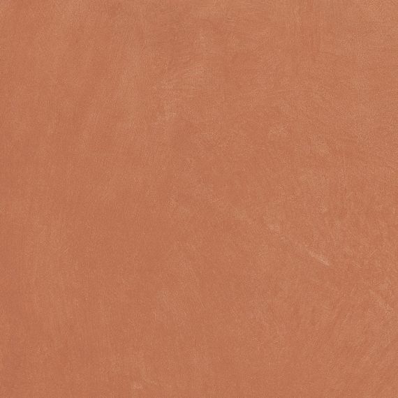 A037678 Argillae Coral Rect R10 60х60