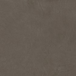 A037679 Argillae Fumo Rect R10 60х60