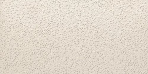 A037707 Nisus Neve Rect 60х120