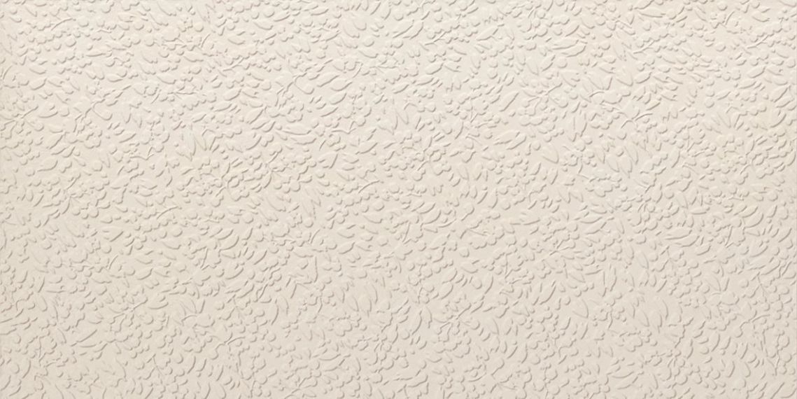 A037707 Nisus Neve Rect 60х120