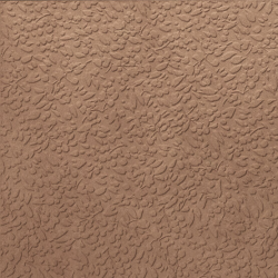 A037708 Nisus Terra Rect 60х60