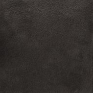 A037712 Nisus Nocta Rect 60х60