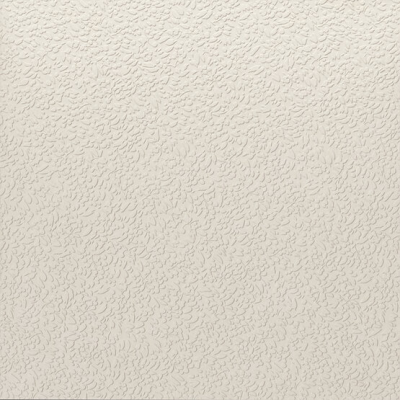A037713 Nisus Neve Rect 60х60