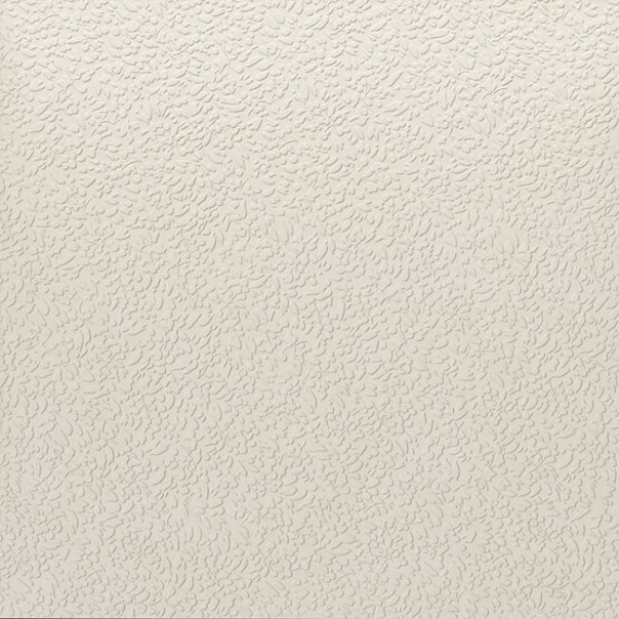 A037713 Nisus Neve Rect 60х60