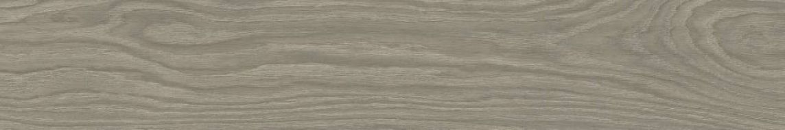 A037810 Triana Ceniza Rect 20x120