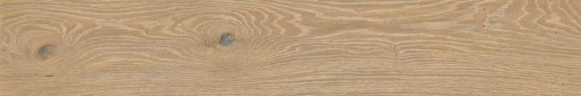 A037811 Triana Desierto Rect 20x120