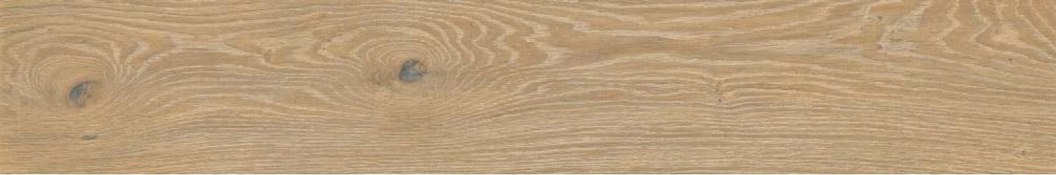 A037811 Triana Desierto Rect 20x120