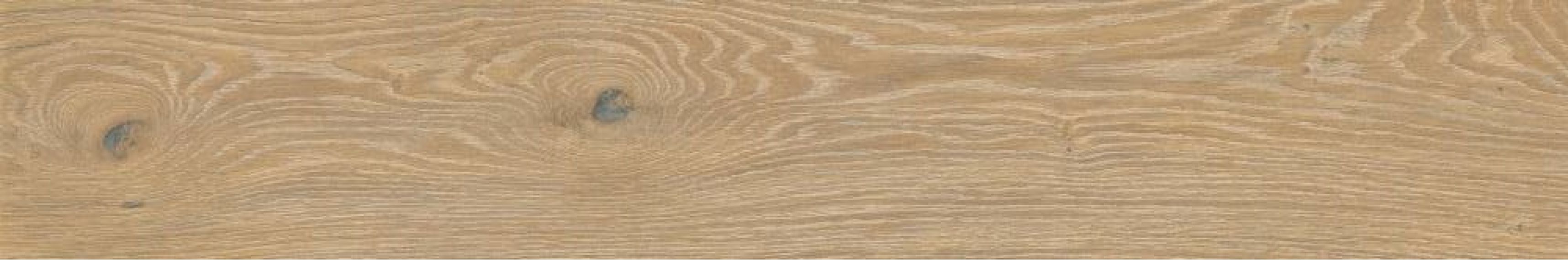 A037811 Triana Desierto Rect 20x120