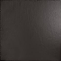 A041245 Керамогранит A Piedi Black 100х100