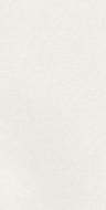 A042731 Плитка Caprice White Rect 60x120